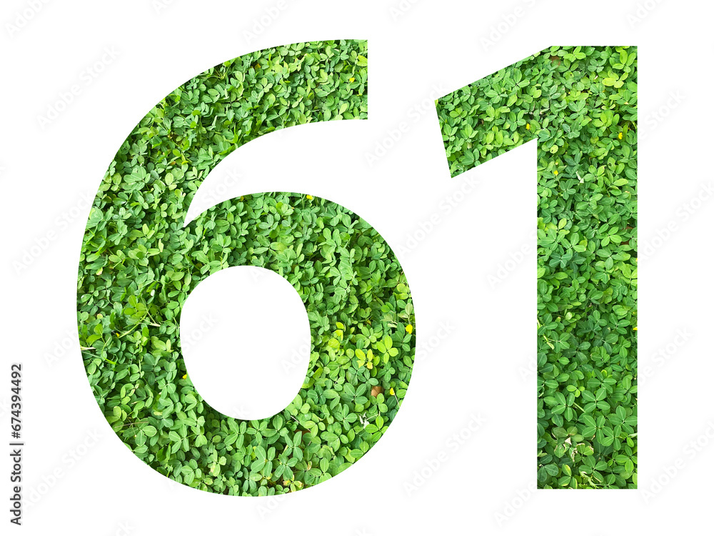 The shape of the number 61 is made of green grass isolated on transparent background. Go green concept. The shape of the number 61 is made of green grass isolated on transparent background. Go green concept.