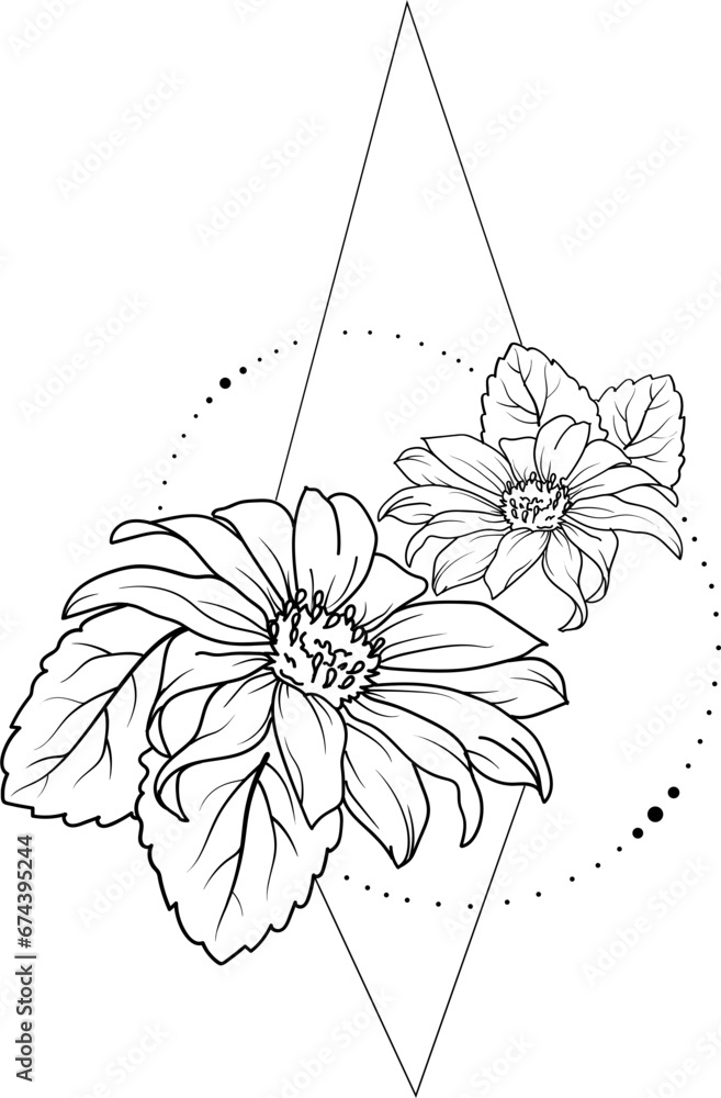 Fototapeta premium Sunflower geometric outline illustration