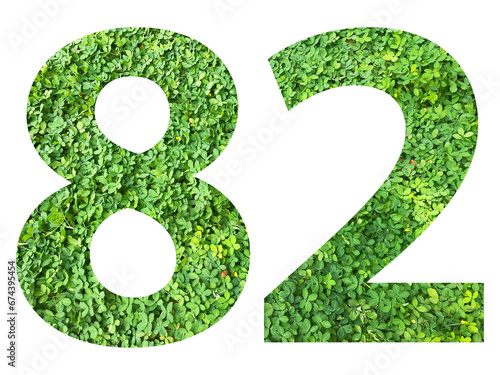 The shape of the number 82 is made of green grass isolated on transparent background. Go green concept.