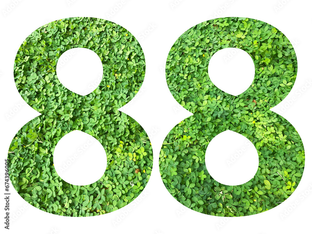 The shape of the number 88 is made of green grass isolated on transparent background. Go green concept. The shape of the number 88 is made of green grass isolated on transparent background. Go green concept.