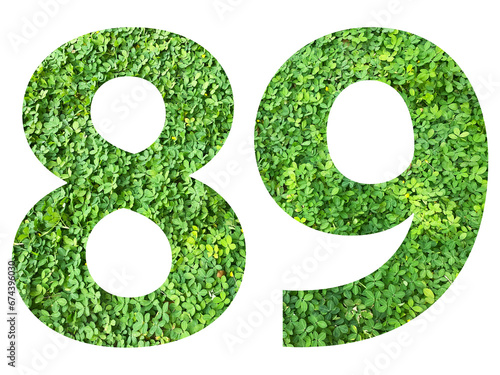 The shape of the number 89 is made of green grass isolated on transparent background. Go green concept.