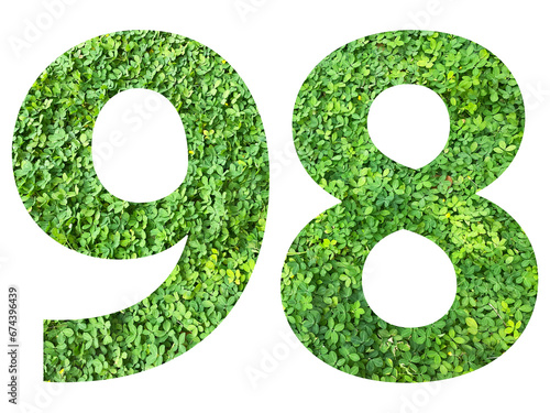 The shape of the number 98 is made of green grass isolated on transparent background. Go green concept.