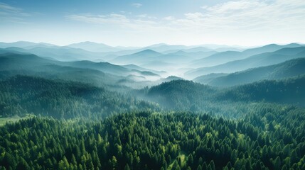 green blue view forest landscape illustration nature water, top beautiful, background travel green blue view forest landscape