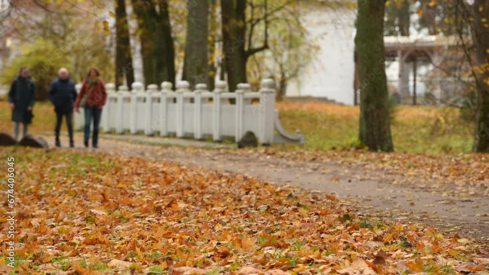 Autumn in city park, yellow leaves under the trees. Autumn park landscape . Golden autumn in the city park