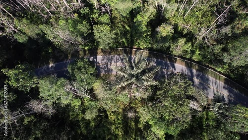 Top view of the road passing through the forest photo