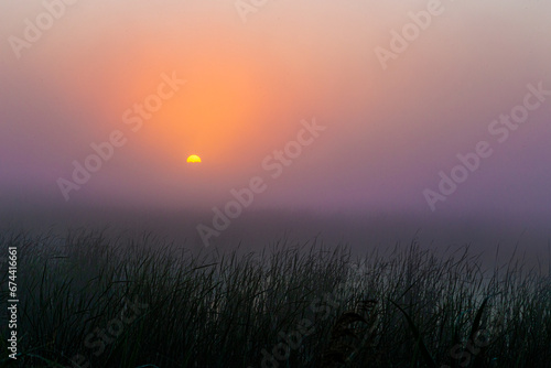 Wschód słońca we mgle