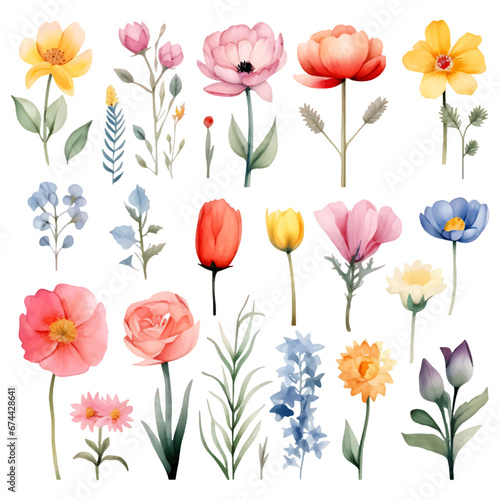  Vector A set of watercolor flowers clipart isolated on a white background © Sumondesigner_42