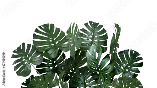 Artificial green monstera leaf leaves, exotic plant decoration