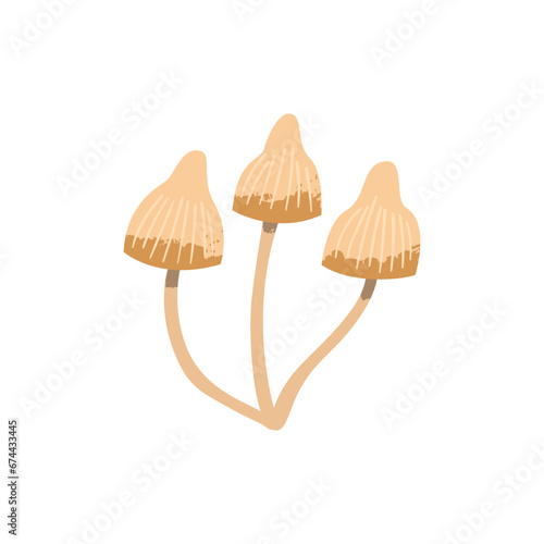 Psilocybe mushroom. Poisonous and hallucinogenic fungus. Vector cartoon illustration with texture isolated on the white background.