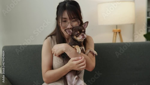 Owner adorp and petting hug and kiss the brown and tan Chihuahua puppy dog  photo