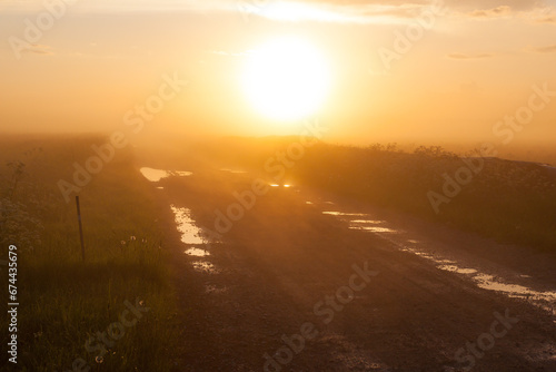 Misty rural road in the field