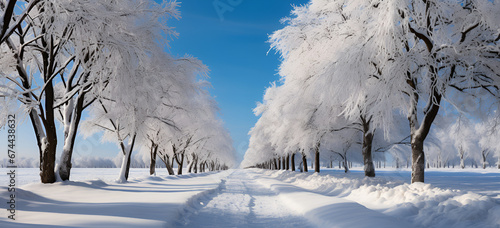 Beautiful landscape, snowy road in the forest between the trees, winter sseason. photo