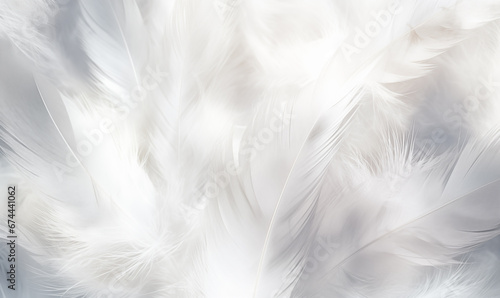 White feathers texture background. Close up of beautiful soft white feathers. © Vitalii