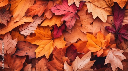 autumn leaves background generated by AI tool 