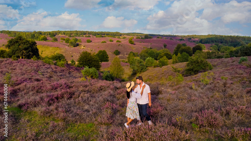 Posbank National Park Veluwe  purple pink heather in bloom  blooming heater on the Veluwe by the Hills of the Posbank Rheden  Netherlands. a couple of men and women walking at the Heather fields