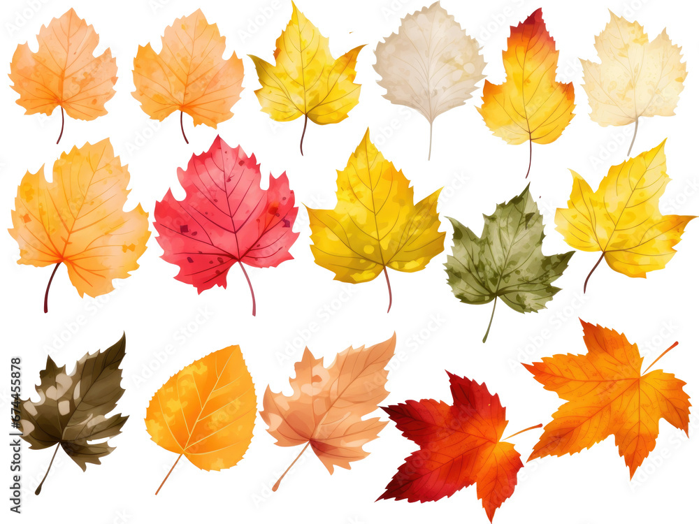 autumn leaves collection isolated on transparent background