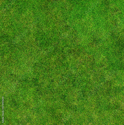 Background of short-cropped green grass