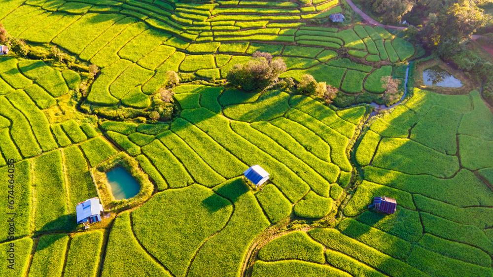 Terraced Rice Field in Chiangmai during the green rain season, Thailand. Royal Project Khun Pae Northern Thailand in the morning