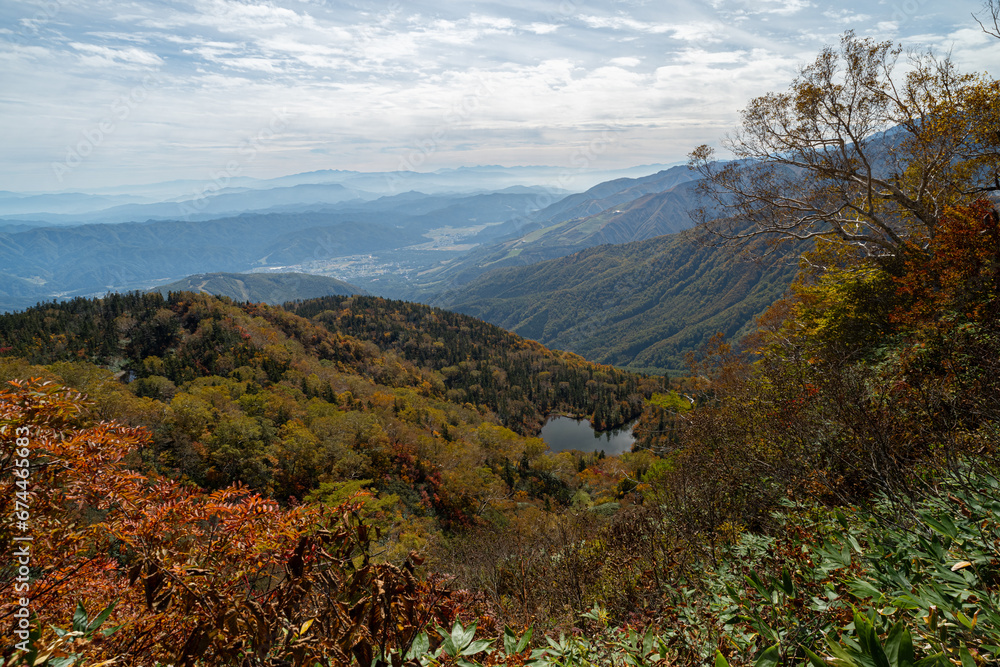 Fototapeta premium 美しい山の紅葉 栂池高原