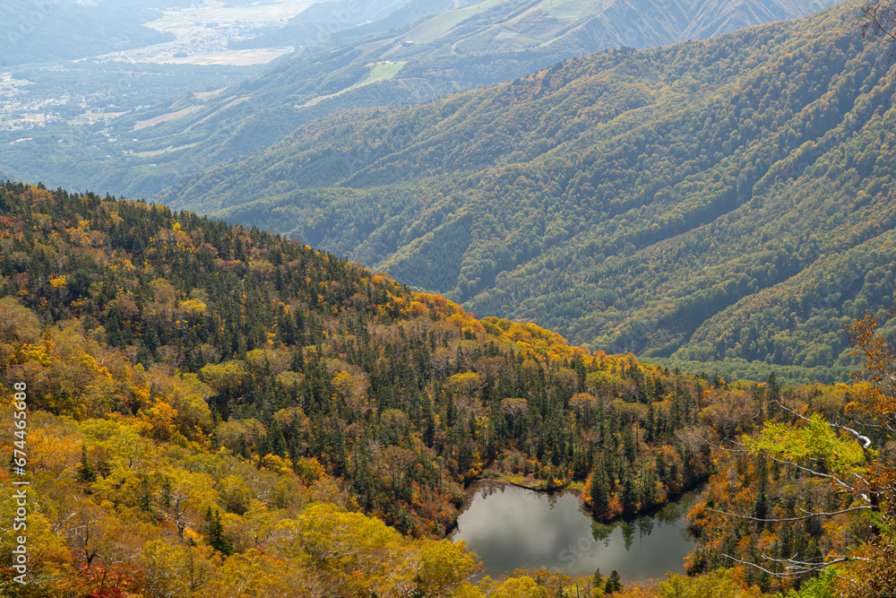 美しい山の紅葉　栂池高原