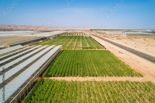Aerial view of green fields and greenhouse in the desert, Paran, Negev desert, Israel. photo