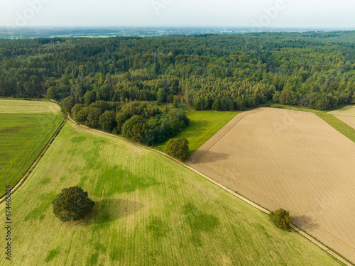 Aerial view of green fields with tree in front of hilly forest Bergherbos, Beek, Montferland, Gelderland, Netherlands. photo