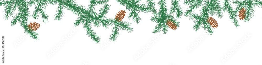Conifer branches isolated, seamless border, winter background, vector design