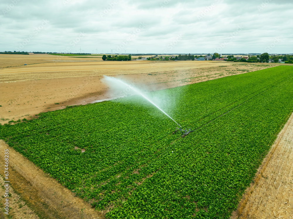 Aerial view of a sprinkler in a field in countryside at sunset, Jouy-en-Pithiverais, Loiret, France. Aerial view of a sprinkler in a field in countryside at sunset, Jouy-en-Pithiverais, Loiret, France.
