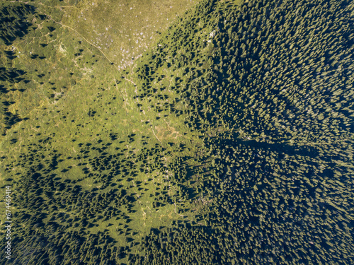 Aerial view of Forrest in Rodopi Mountains, Bulgaria. photo