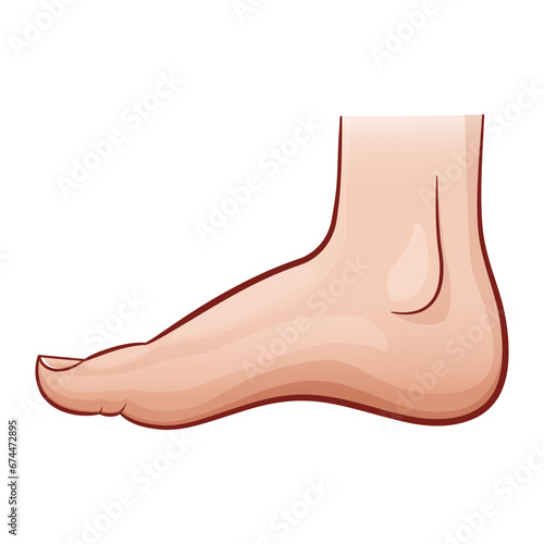 illustration of human foot cartoon