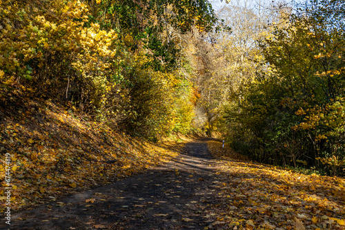 herbstliche Impressionen Herbst im Harz Selketal