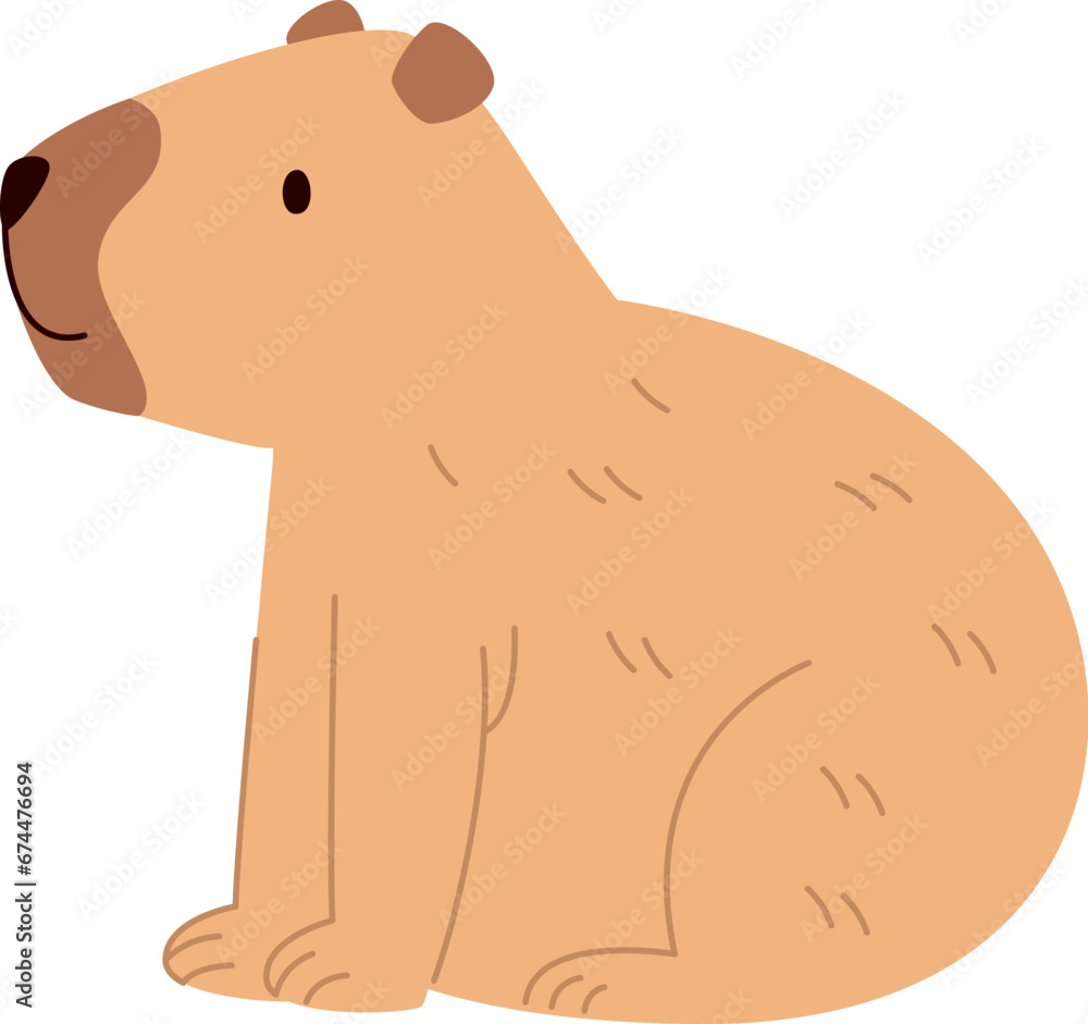 Obraz premium Capybara Animal Sitting