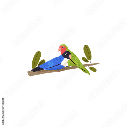Lovebird couple sits on tree branch, perch. Colorful love birds different multicolored feathers. Tropical parrots, exotic animal, plumage pet. Flat isolated vector illustration on white background