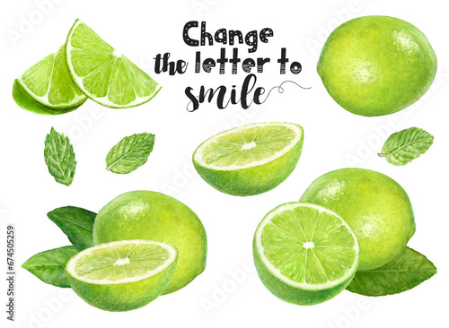 Obraz na płótnie Watercolor illustration of limes mint set close up