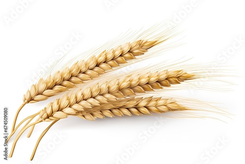 Generative AI : Ear of wheat isolated on transparent or white background