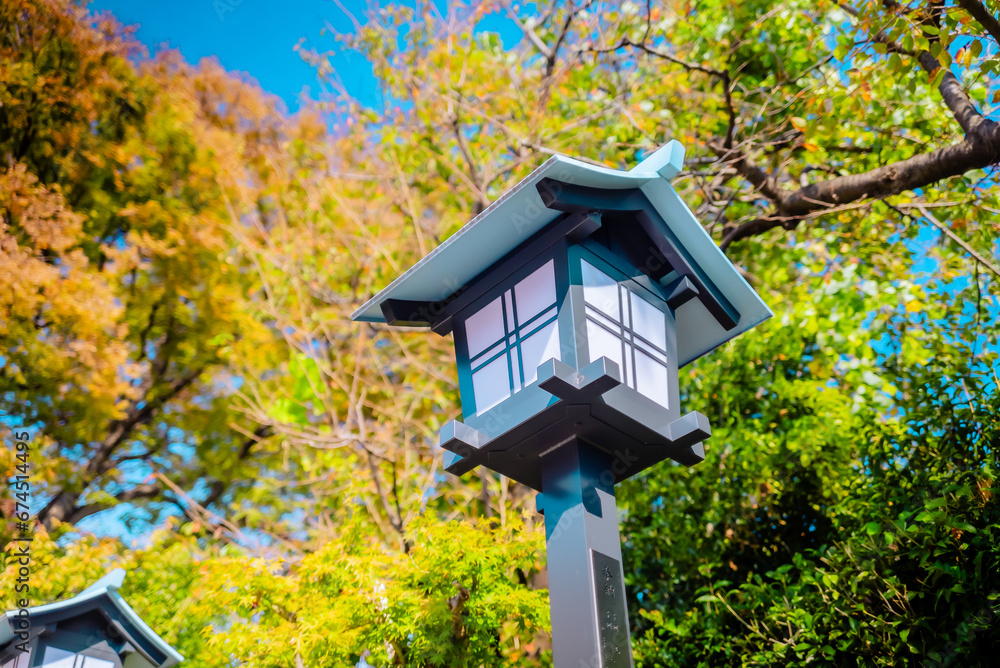 【神奈川】星川杉山神社　七五三