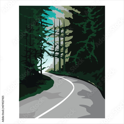 Street on the jungle between pine trees in for background and illustration