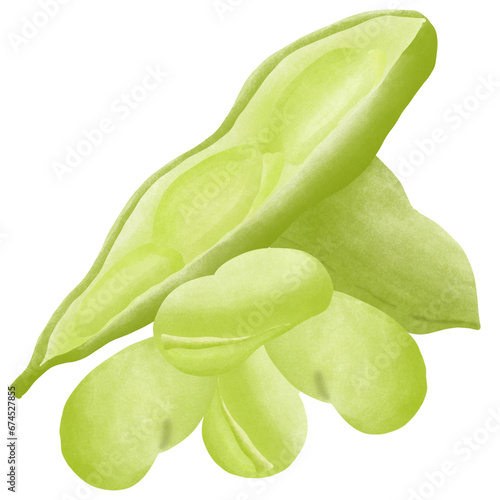Broad Beans On White Background.