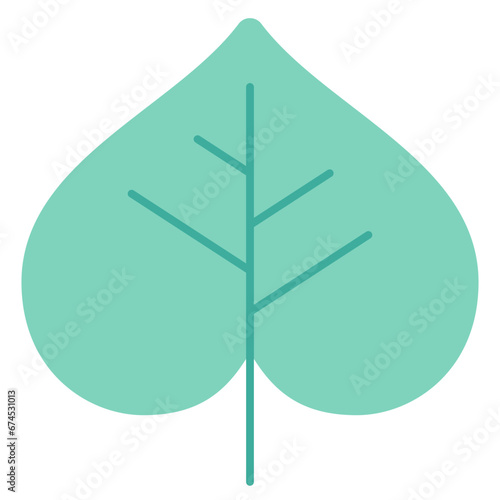  Beech , bitch,leaf,nature,season