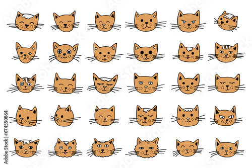 Hand drawn cat muzzle clipart. Cute pet face doodle set