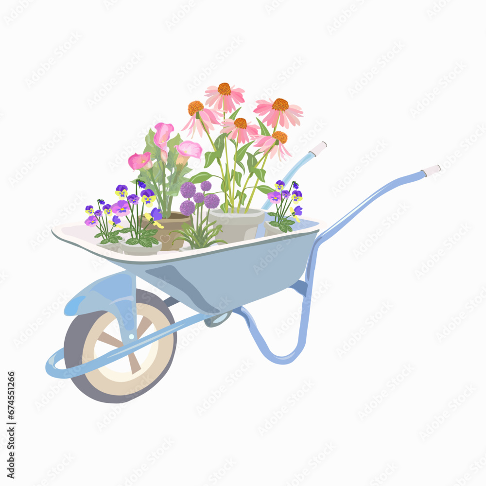 blue garden cart with potted flowers allium, pansy, echinacea, calla