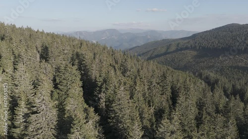 Mountins, forest from dron shoot