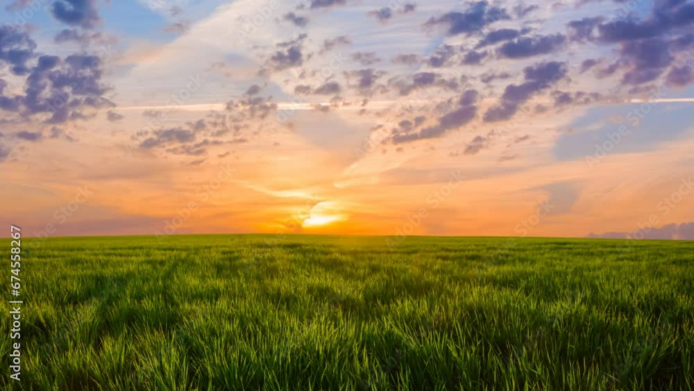 summer green rural field at the sunset time lapse scene summer green rural field at the sunset time lapse scene
