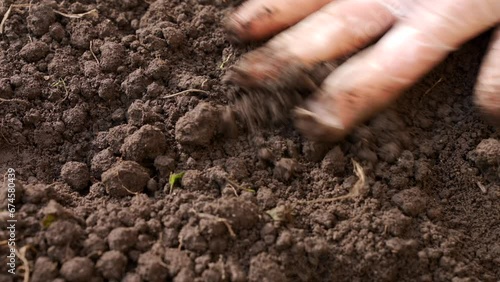 Farmer hand in latex glove planting onions. Hand touching ground close-up 4k footage