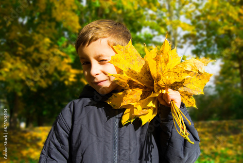 Cute boy in sun s rays with bouquet of maple leafs in autumn park.
