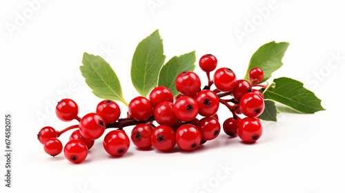 3D Christmas Holly fruit White background