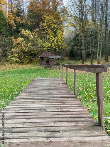 Wooden path in the middle of the forest