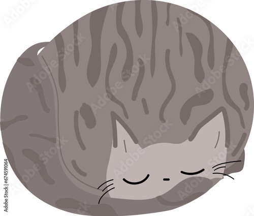 Sleeping cat illustration