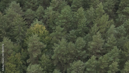 Slovakia nature - Chránená oblasť Strážovské vrchy

