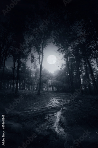 dark night in mysterious forest with full moon